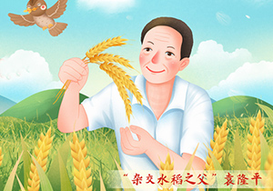《袁隆平》電影觀后感---了解一個時代的偉人