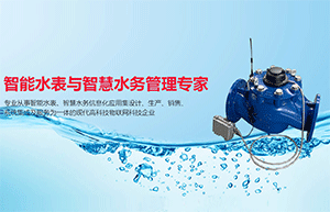 如何為智能水表防水？選擇施奈仕環(huán)保三防漆