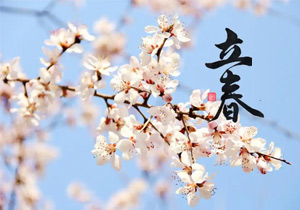 立春新啟，施奈仕共赴春日征程