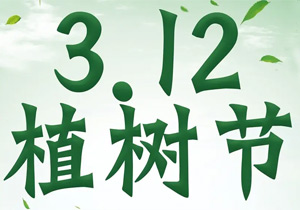 植樹節(jié)：“植”此青綠，共赴春光