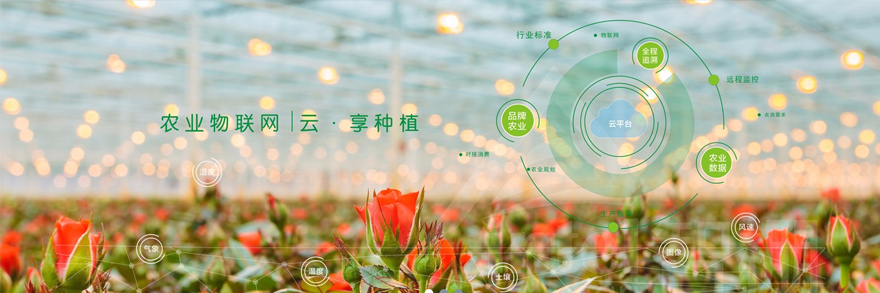 傳感器,環(huán)保三防漆品牌,UV三防漆品牌,高效三防漆品牌.jpg