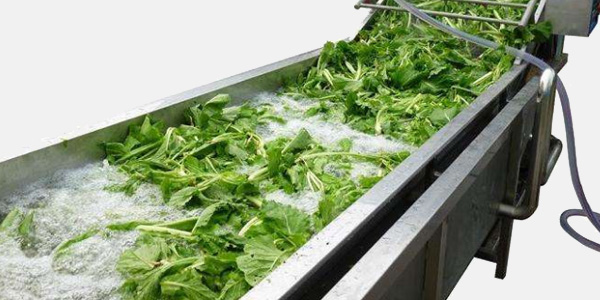 商用洗菜機(jī)