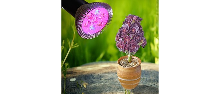 LED植物生長(zhǎng)燈吸潮短路、起霉怎么辦？快用線路板電防膠.jpg