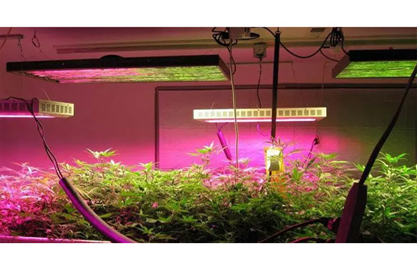 線路板三防漆,有機硅線路板三防漆,植物燈線路板三防漆