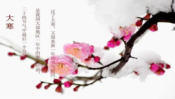 大寒：冬季的終點，春天的起點.jpg