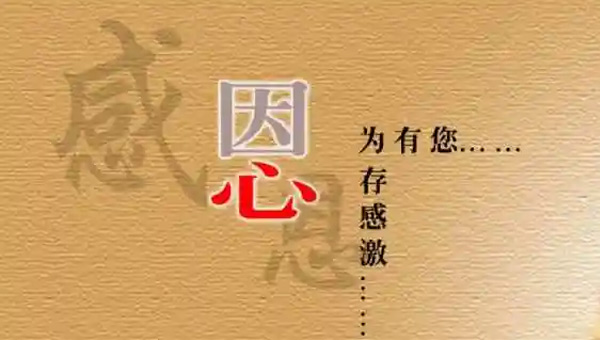 感恩的力量：施奈仕人的感恩節(jié)，銘記每一份支持與陪伴